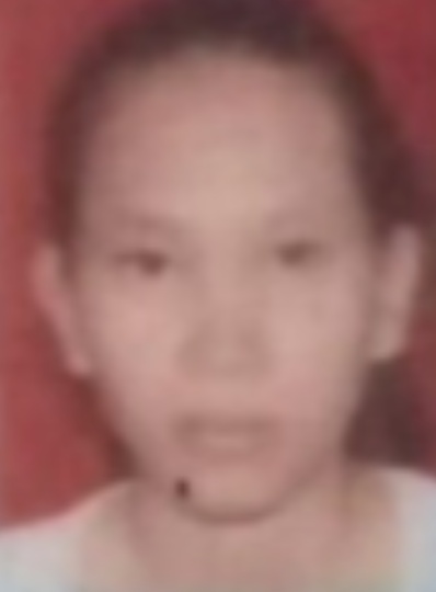 MELISA HARDIYANTI